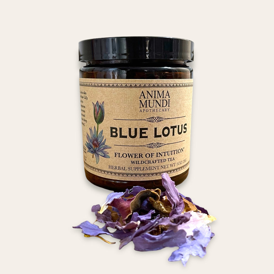 Blue Lotus: Flower of Intuition | Crushed Flower