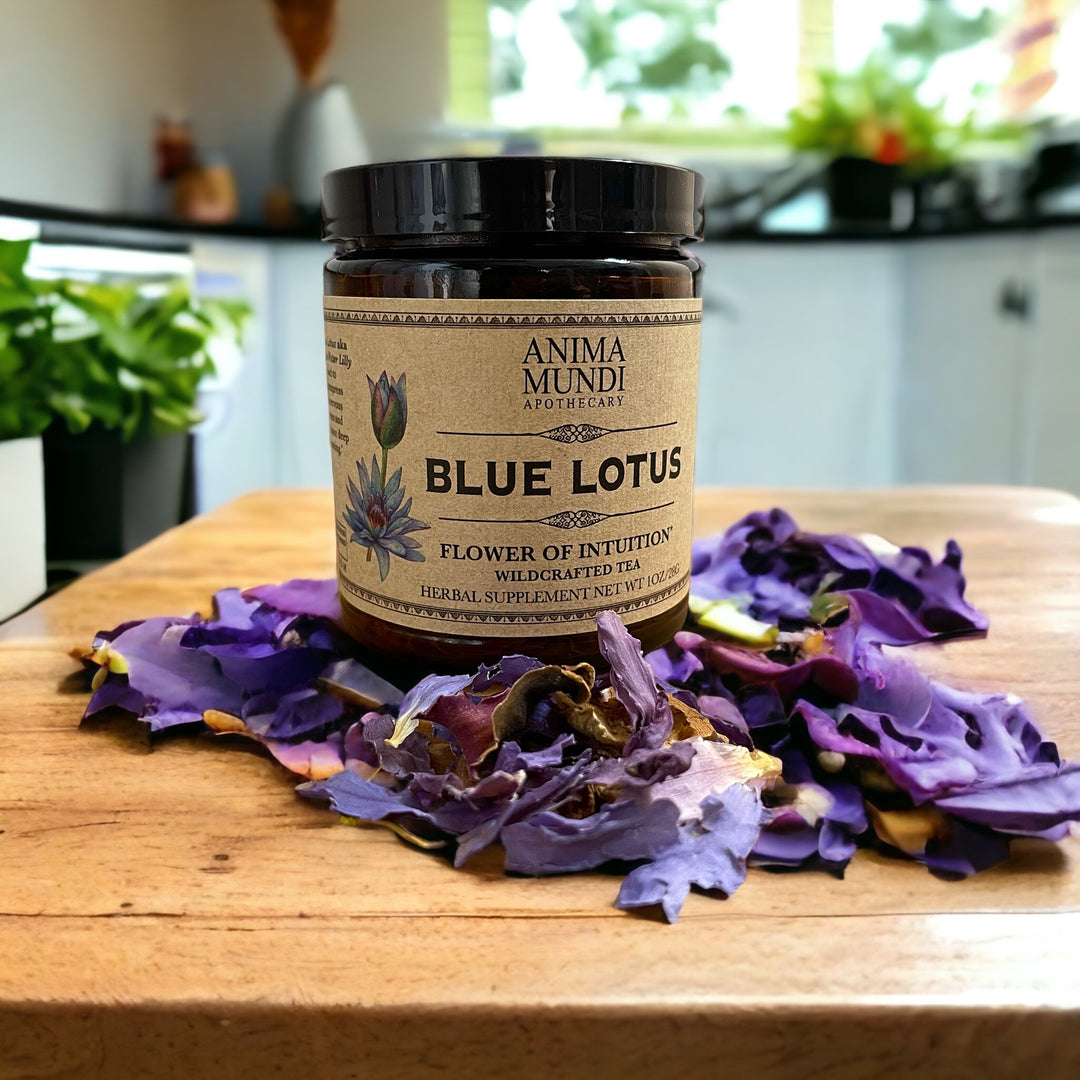 Blue Lotus: Flower of Intuition | Crushed Flower