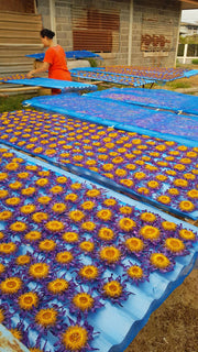 Blue Lotus Crushed Flowers | Enhance Intuition & Relaxation